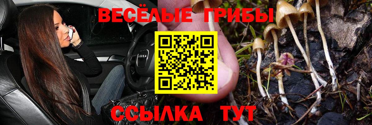 Галлюциногенные грибы Psilocybe Красный Сулин